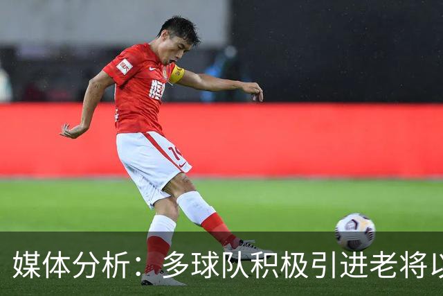 媒体分析：多球队积极引进老将以确保赛季表现